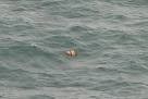 Indonesia finds bodies, debris of missing AirAsia flight - Livemint