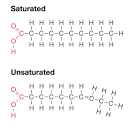 The truth about fats. Part 2 Leave saturated fats alone « Elevate ...