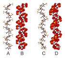 structures of <b>heparin</b>