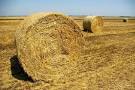 Romania plans land bank to control ownership of its agricultural ...