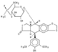 VePesid (Etoposide) Drug Information: Description, User Reviews ...