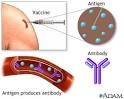 Hepatitis A immunization (
