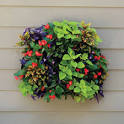 Living Wall Planter-Pamela Crawford Wall Side Planter-Living Walls