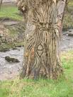 Tree sculpture, Dollar Burn - via Daymix