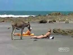 categorias-videos-adultos-juegos-sexy-sensuales-porno