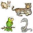 viajaportumundo - Fauna América del Norte