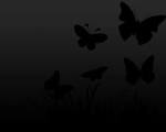 http://www.webdesign-guru.co.uk/icon/wp-content/uploads/black-butterfly-wallpaper-1280x1024.jpg