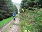 NT3538 : Budding conifers on the Priesthope track - via Daymix