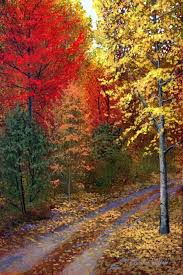 http://t3.gstatic.com/images?q=tbn:ANd9GcRGsNe7mrGYQx3XJWNiJK3GzXGzPLqXVGG0GcqpVsHRJz2QeDJ_Ag