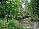 The footpath passes by Apps - via Daymix