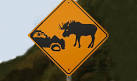 weird street sign