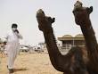 Mers Virus: Latest News, Photos, Videos on Mers Virus - NDTV.COM