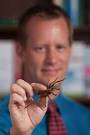 Caption: This is Peter Norton, associate professor in clinical psychology ... - 45091_web