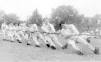 Dorton Dons - Wikipedia, the free encyclopedia