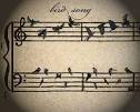 Into The Woods and Elsewhere: Bird Song Bible