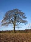 SO9775 : Alvechurch Highway - via Daymix