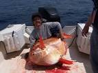 First Exotic of 2009 - Opah! - www.