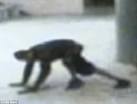 Copper thief suspect slithers away with BROKEN BACK after falling ...