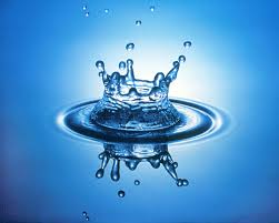 http://t3.gstatic.com/images?q=tbn:ANd9GcRHzo_R7QAWMPM8CNRPn5A4ib4TfsubhEXB7QkozCJvhmD5ACJDssAuFCX8oA