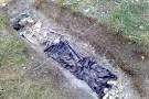 Decomposition | www.