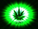 The term, "420" is said to