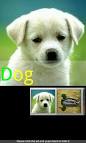 Animal Sounds Ringtones   Android Apps and Tests   AndroidPIT