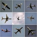 Driving vs. Flying 