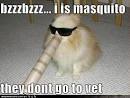 Funny Dog Pictures - stupid