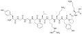 <b>Endorphins</b> ("endogenous morphine") are endogenous opioid peptides that