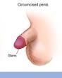  Circumcision - Pictures from the Mayo Clinic's brochure