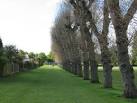 Melbourne Park: poplars which - via Daymix
