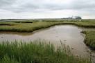 Crane's Creek. A network of inlets fills at high water, but as the tide - via Daymix