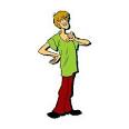 Image shaggy.jpg Picture