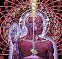 Tool Image TOOL music, discography, MP3, videos and reviews Picture 0