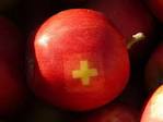 SAVOURING SWITZERLAND » Go for those Galmac national holiday apples!