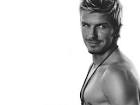David Beckham Image David Beckham wallpaper   Download Picture 4