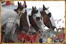 Jousting