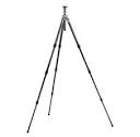STEADY ON! [An Introduction to Tripods]