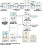 Clase 15 Ruta De <b>Las Pentosas</b>