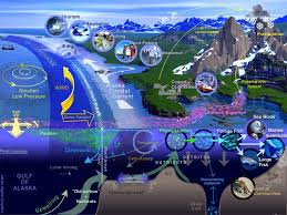 Valuing ecosystem services can boost business profitsm