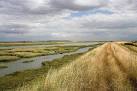 Creek/Blackwater Estuary - via Daymix