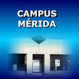 <b>IDAP</b> SC Instituto para el Desarrollo y Actualizaci&Atilde;&sup3;n de <b>...</b>