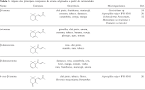de <b>carotenóides</b> têm sido