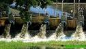 Multimedia Video Analysis  Taking the Waste out of Waste Water