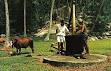 SEYCHELLES - Wikipedia, the free encyclopedia