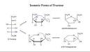 Fructose - Wikipedia, the free encyclopedia