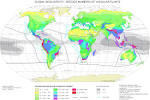 Atlantic Forest South - East Reserves, Brazil