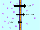 OSMOSIS AND DIFFUSION
