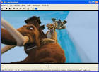 VLC Media Player 1.1.8-The Best Player