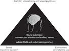 Amphetamine psychosis: a model for studying the onset and course ...